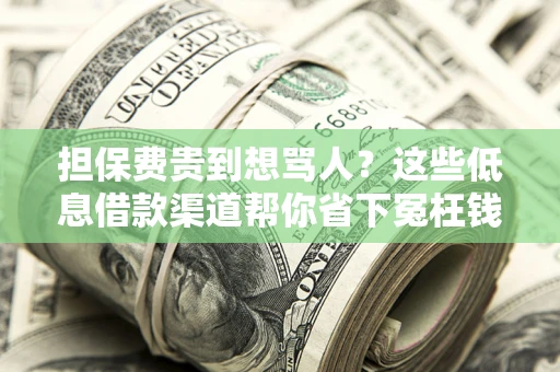 北京担保费贵到想骂人？这些低息借款渠道帮你省下冤枉钱