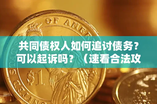 北京共同债权人如何追讨债务？可以起诉吗？（速看合法攻略）