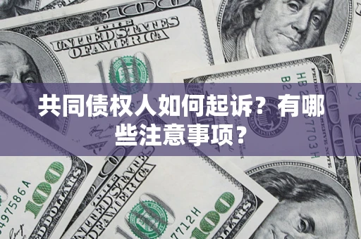 北京共同债权人如何起诉？有哪些注意事项？